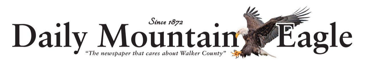 Daily Mountain Eagle logo